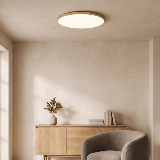 Ultra-Slim Flush Mount LED Ceiling Light