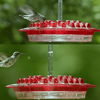 30-Port Ant-Moat Hummingbird Feeder - Red