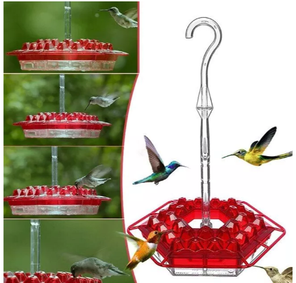 30-Port Ant-Moat Hummingbird Feeder - Red