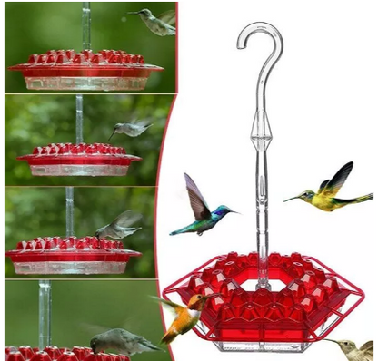 30-Port Ant-Moat Hummingbird Feeder - Red