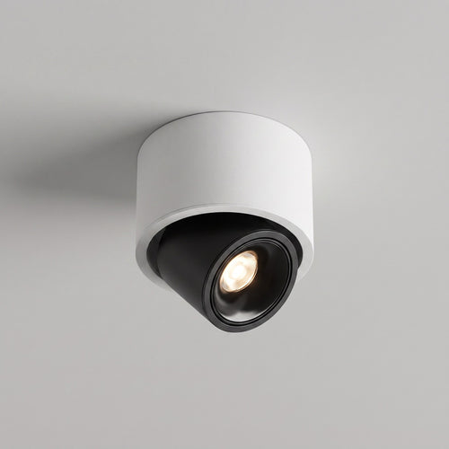 Adjustable LED Flush Mount Ceiling Spotlight