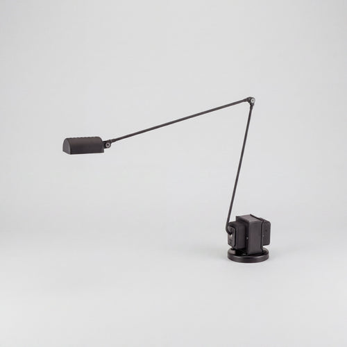 Dimmable Dual-Color LED Desk Lamp