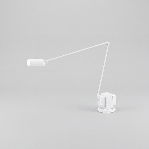 Dimmable Dual-Color LED Desk Lamp