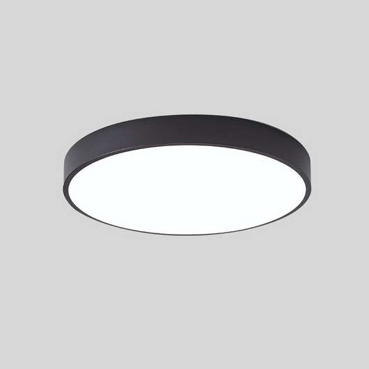 Flush Mount Round LED Ceiling Light