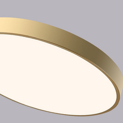 Flush Mount Round LED Ceiling Light