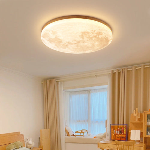 Moon Surface Flush Mount Ceiling Light