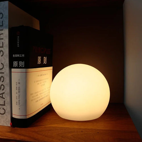 Rechargeable LED Globe Table Lamp