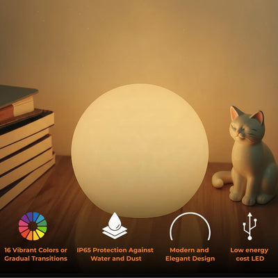 Rechargeable LED Globe Table Lamp