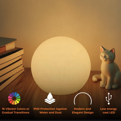 Rechargeable LED Globe Table Lamp