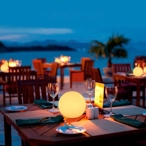 Rechargeable LED Globe Table Lamp