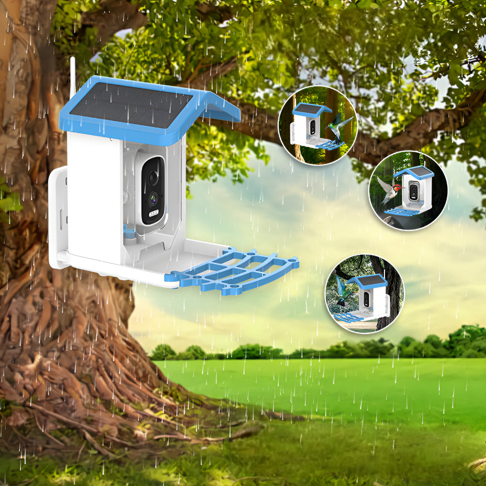 Solar-Powered Smart Bird Feeder Camera