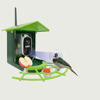 Solar-Powered Smart Bird Feeder with Camera