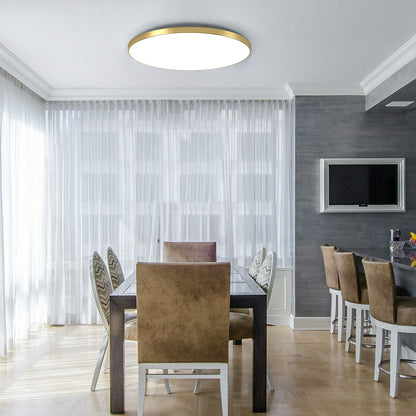 Ultra-Slim Flush Mount LED Ceiling Light