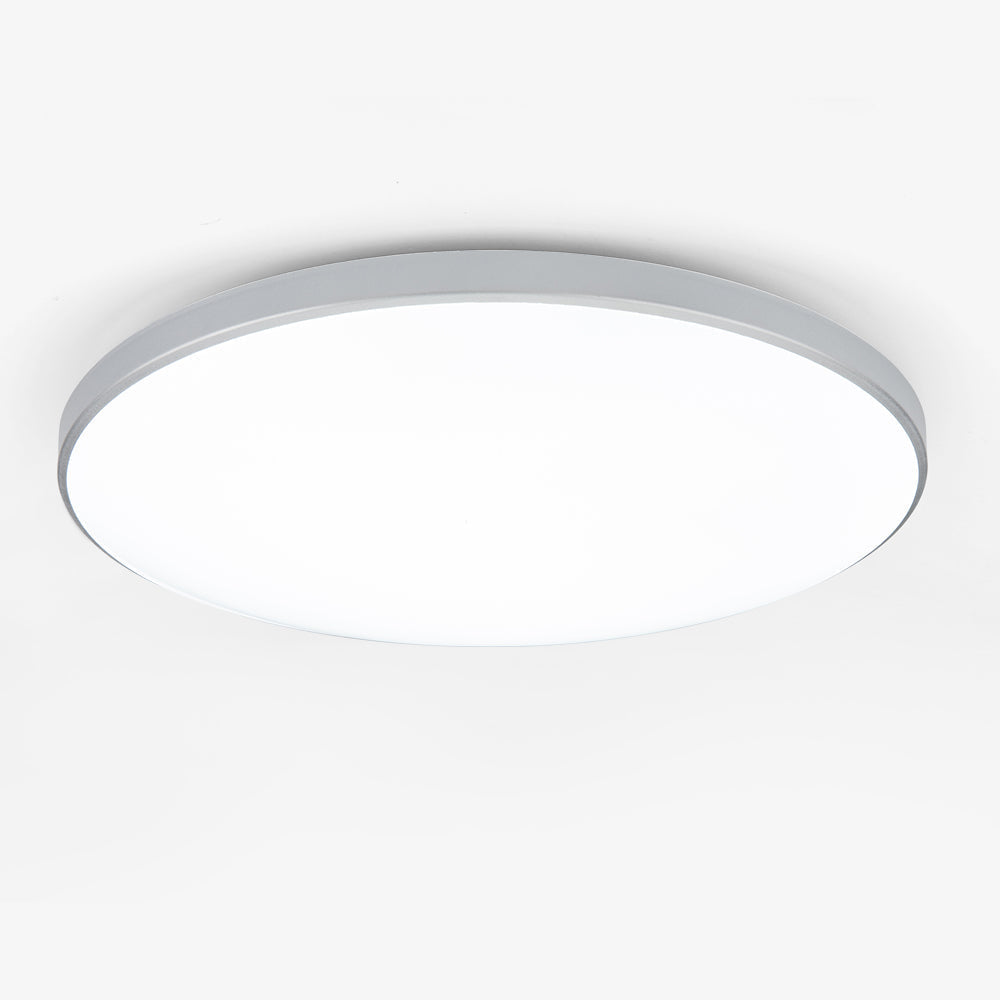 Ultra-Slim Flush Mount LED Ceiling Light